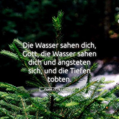 Picture 05 - Psalm 77:16 LUTH1912 - Die Wasser sahen dich, Gott, die Wasser sahen - Bible Verse Picture