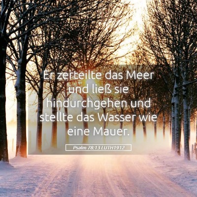 Picture 05 - Psalm 78:13 LUTH1912 - Er zerteilte das Meer und ließ sie hindurchgehen - Bible Verse Picture
