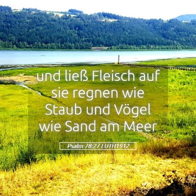 Picture 05 - Psalm 78:27 LUTH1912 - und ließ Fleisch auf sie regnen wie Staub und - Bible Verse Picture
