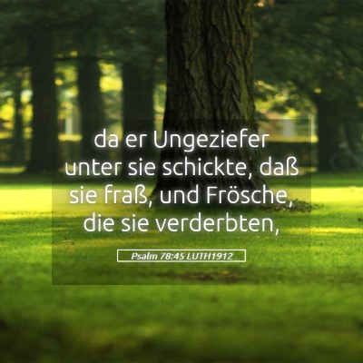 Picture 05 - Psalm 78:45 LUTH1912 - da er Ungeziefer unter sie schickte, daß sie - Bible Verse Picture