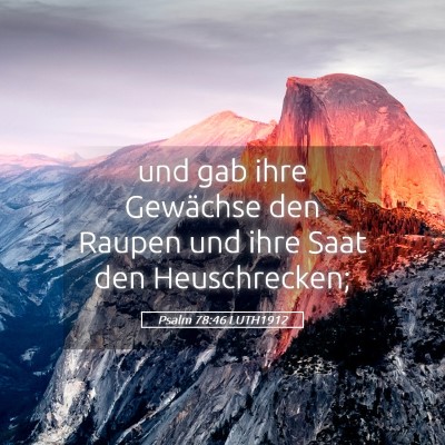 Picture 05 - Psalm 78:46 LUTH1912 - und gab ihre Gewächse den Raupen und ihre Saat - Bible Verse Picture