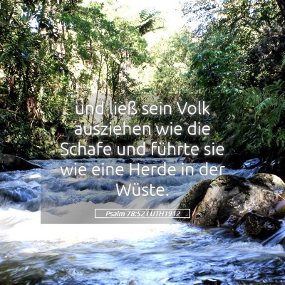 Picture 05 - Psalm 78:52 LUTH1912 - und ließ sein Volk ausziehen wie die Schafe und - Bible Verse Picture