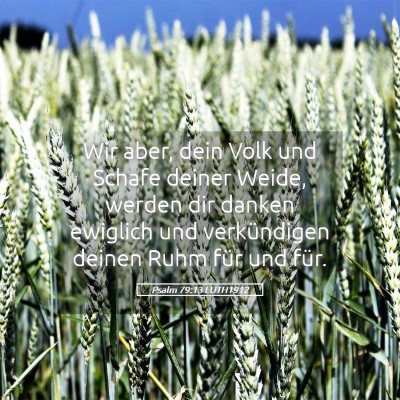 Picture 05 - Psalm 79:13 LUTH1912 - Wir aber, dein Volk und Schafe deiner Weide, - Bible Verse Picture
