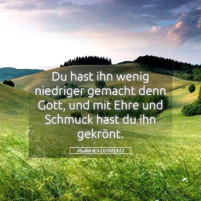Picture 05 - Psalm 8:5 LUTH1912 - Du hast ihn wenig niedriger gemacht denn Gott, - Bible Verse Picture
