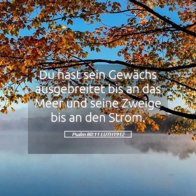 Picture 05 - Psalm 80:11 LUTH1912 - Du hast sein Gewächs ausgebreitet bis an das - Bible Verse Picture