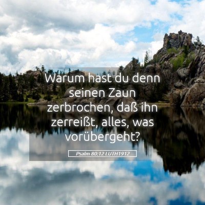 Picture 05 - Psalm 80:12 LUTH1912 - Warum hast du denn seinen Zaun zerbrochen, daß - Bible Verse Picture