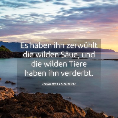 Picture 05 - Psalm 80:13 LUTH1912 - Es haben ihn zerwühlt die wilden Säue, und die - Bible Verse Picture