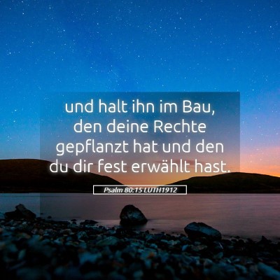 Picture 05 - Psalm 80:15 LUTH1912 - und halt ihn im Bau, den deine Rechte gepflanzt - Bible Verse Picture