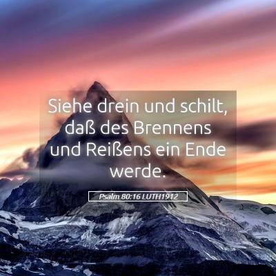 Picture 05 - Psalm 80:16 LUTH1912 - Siehe drein und schilt, daß des Brennens und - Bible Verse Picture