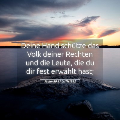 Picture 05 - Psalm 80:17 LUTH1912 - Deine Hand schütze das Volk deiner Rechten und - Bible Verse Picture