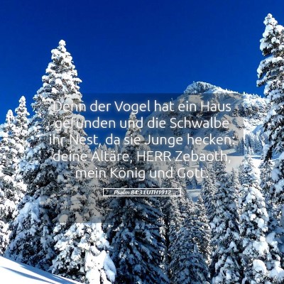 Picture 05 - Psalm 84:3 LUTH1912 - Denn der Vogel hat ein Haus gefunden und die - Bible Verse Picture