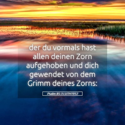 Picture 05 - Psalm 85:3 LUTH1912 - der du vormals hast allen deinen Zorn aufgehoben - Bible Verse Picture