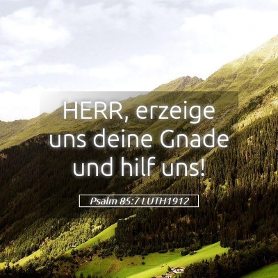 Picture 05 - Psalm 85:7 LUTH1912 - HERR, erzeige uns deine Gnade und hilf - Bible Verse Picture