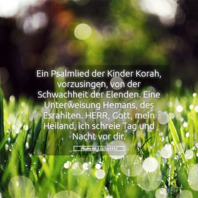 Picture 05 - Psalm 88:1 LUTH1912 - Ein Psalmlied der Kinder Korah, vorzusingen, von - Bible Verse Picture