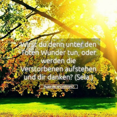 Picture 05 - Psalm 88:10 LUTH1912 - Wirst du denn unter den Toten Wunder tun, oder - Bible Verse Picture