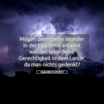 Picture 05 - Psalm 88:12 LUTH1912 - Mögen denn deine Wunder in der Finsternis - Bible Verse Picture