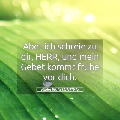 Picture 05 - Psalm 88:13 LUTH1912 - Aber ich schreie zu dir, HERR, und mein Gebet - Bible Verse Picture