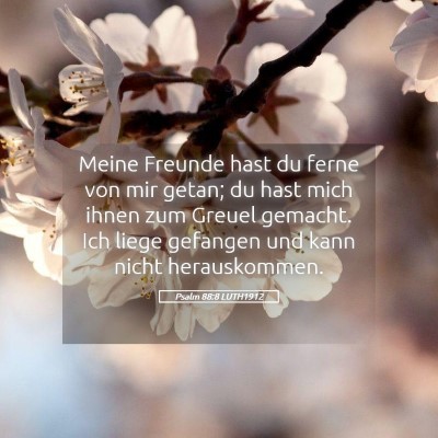 Picture 05 - Psalm 88:8 LUTH1912 - Meine Freunde hast du ferne von mir getan; du - Bible Verse Picture