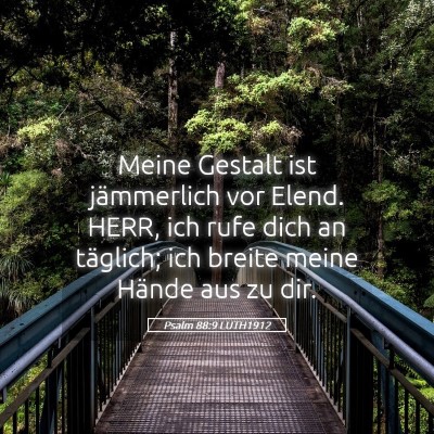 Picture 05 - Psalm 88:9 LUTH1912 - Meine Gestalt ist jämmerlich vor Elend. HERR, - Bible Verse Picture
