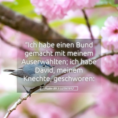 Picture 05 - Psalm 89:3 LUTH1912 - “Ich habe einen Bund gemacht mit meinem - Bible Verse Picture
