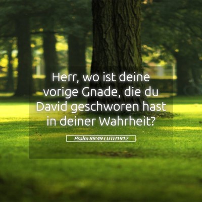 Picture 05 - Psalm 89:49 LUTH1912 - Herr, wo ist deine vorige Gnade, die du David - Bible Verse Picture