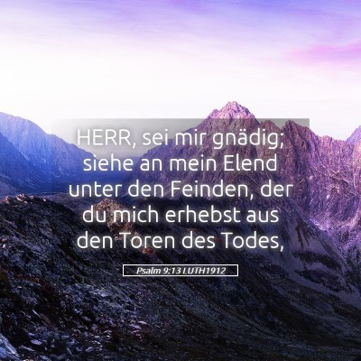 Picture 05 - Psalm 9:13 LUTH1912 - HERR, sei mir gnädig; siehe an mein Elend unter - Bible Verse Picture