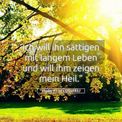 Picture 05 - Psalm 91:16 LUTH1912 - Ich will ihn sättigen mit langem Leben und will - Bible Verse Picture