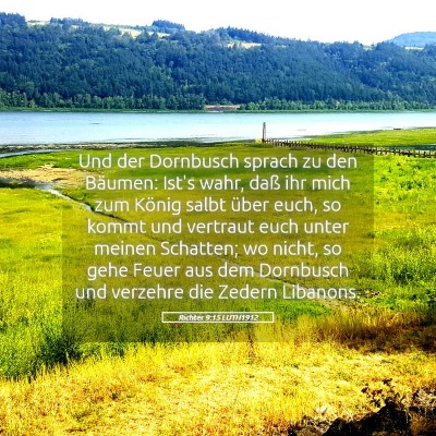 Picture 05 - Richter 9:15 LUTH1912 - Und der Dornbusch sprach zu den Bäumen: Ist's - Bible Verse Picture