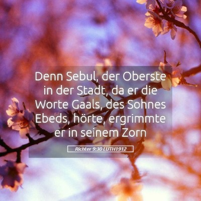 Picture 05 - Richter 9:30 LUTH1912 - Denn Sebul, der Oberste in der Stadt, da er die - Bible Verse Picture