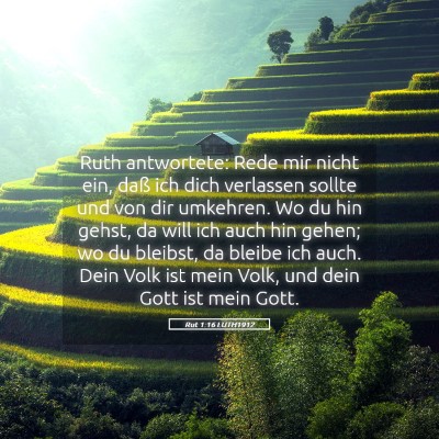 Picture 05 - Rut 1:16 LUTH1912 - Ruth antwortete: Rede mir nicht ein, daß ich - Bible Verse Picture