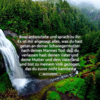 Picture 05 - Rut 2:11 LUTH1912 - Boas antwortete und sprach zu ihr: Es ist mir - Bible Verse Picture