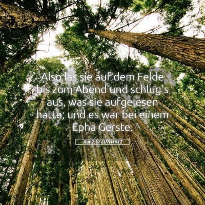 Picture 05 - Rut 2:17 LUTH1912 - Also las sie auf dem Felde bis zum Abend und - Bible Verse Picture