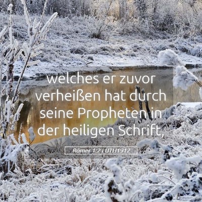 Picture 05 - Römer 1:2 LUTH1912 - welches er zuvor verheißen hat durch seine - Bible Verse Picture