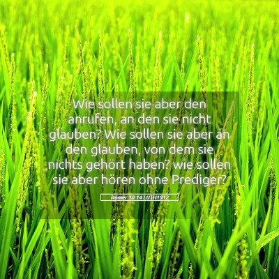 Picture 05 - Römer 10:14 LUTH1912 - Wie sollen sie aber den anrufen, an den sie nicht - Bible Verse Picture