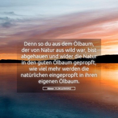 Picture 05 - Römer 11:24 LUTH1912 - Denn so du aus dem Ölbaum, der von Natur aus - Bible Verse Picture