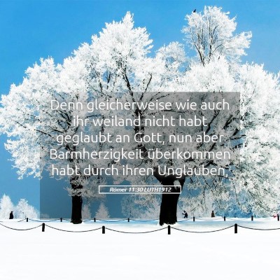 Picture 05 - Römer 11:30 LUTH1912 - Denn gleicherweise wie auch ihr weiland nicht - Bible Verse Picture