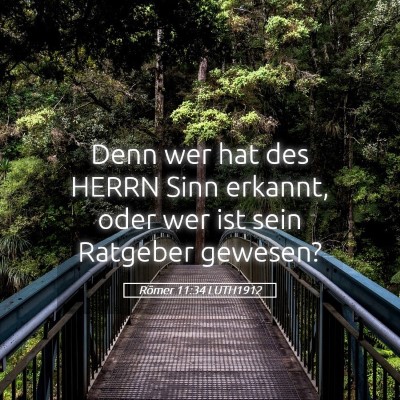 Picture 05 - Römer 11:34 LUTH1912 - Denn wer hat des HERRN Sinn erkannt, oder wer ist - Bible Verse Picture
