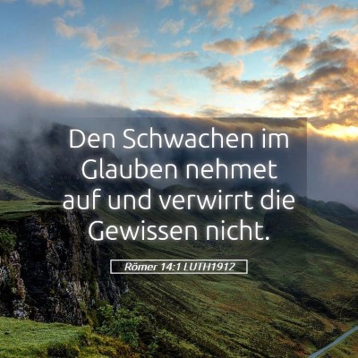 Picture 05 - Römer 14:1 LUTH1912 - Den Schwachen im Glauben nehmet auf und verwirrt - Bible Verse Picture