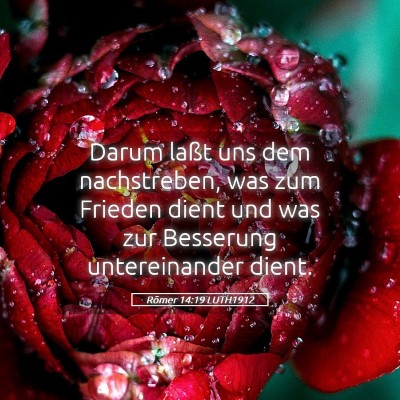 Picture 05 - Römer 14:19 LUTH1912 - Darum laßt uns dem nachstreben, was zum Frieden - Bible Verse Picture