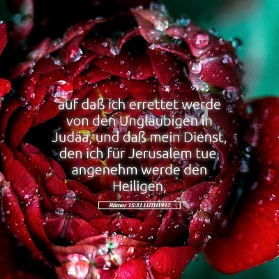 Picture 05 - Römer 15:31 LUTH1912 - auf daß ich errettet werde von den Ungläubigen - Bible Verse Picture