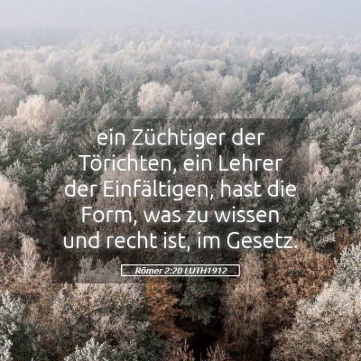 Picture 05 - Römer 2:20 LUTH1912 - ein Züchtiger der Törichten, ein Lehrer der - Bible Verse Picture