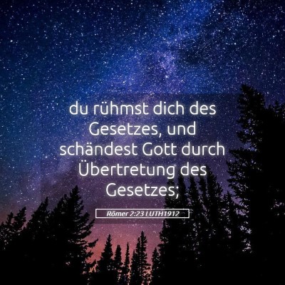 Picture 05 - Römer 2:23 LUTH1912 - du rühmst dich des Gesetzes, und schändest Gott - Bible Verse Picture