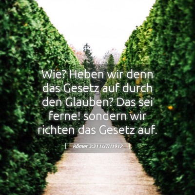 Picture 05 - Römer 3:31 LUTH1912 - Wie? Heben wir denn das Gesetz auf durch den - Bible Verse Picture