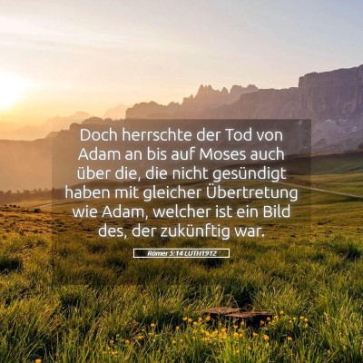 Picture 05 - Römer 5:14 LUTH1912 - Doch herrschte der Tod von Adam an bis auf Moses - Bible Verse Picture