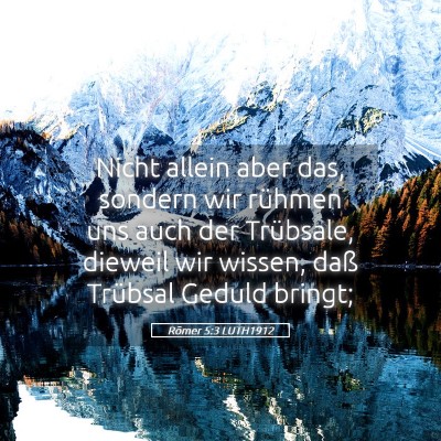 Picture 05 - Römer 5:3 LUTH1912 - Nicht allein aber das, sondern wir rühmen uns - Bible Verse Picture
