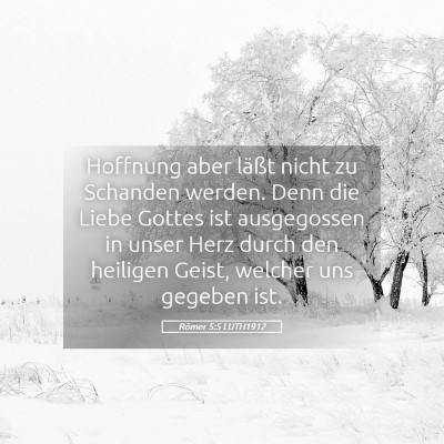 Picture 05 - Römer 5:5 LUTH1912 - Hoffnung aber läßt nicht zu Schanden werden. - Bible Verse Picture