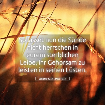 Picture 05 - Römer 6:12 LUTH1912 - So lasset nun die Sünde nicht herrschen in eurem - Bible Verse Picture