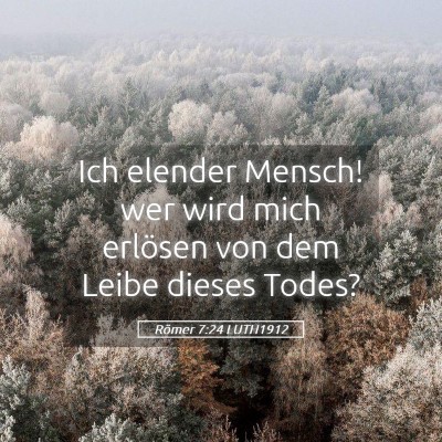 Picture 05 - Römer 7:24 LUTH1912 - Ich elender Mensch! wer wird mich erlösen von - Bible Verse Picture