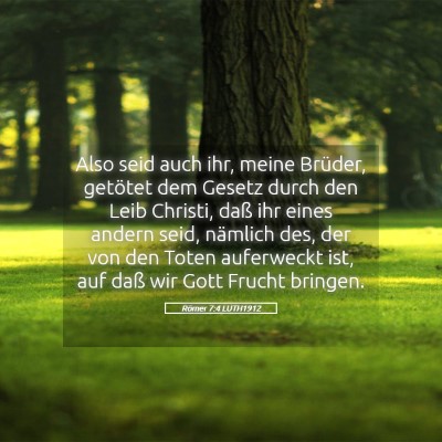 Picture 05 - Römer 7:4 LUTH1912 - Also seid auch ihr, meine Brüder, getötet dem - Bible Verse Picture