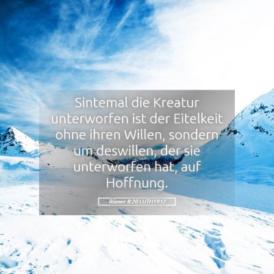 Picture 05 - Römer 8:20 LUTH1912 - Sintemal die Kreatur unterworfen ist der - Bible Verse Picture